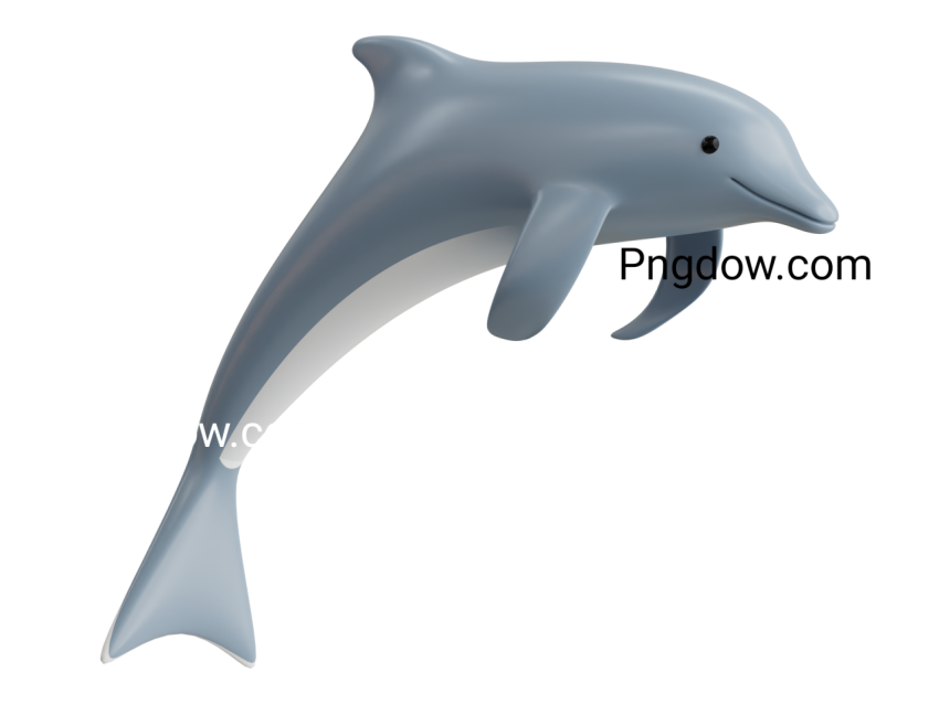 Dolphin Png image with transparent background for free, Dolphin, (1)