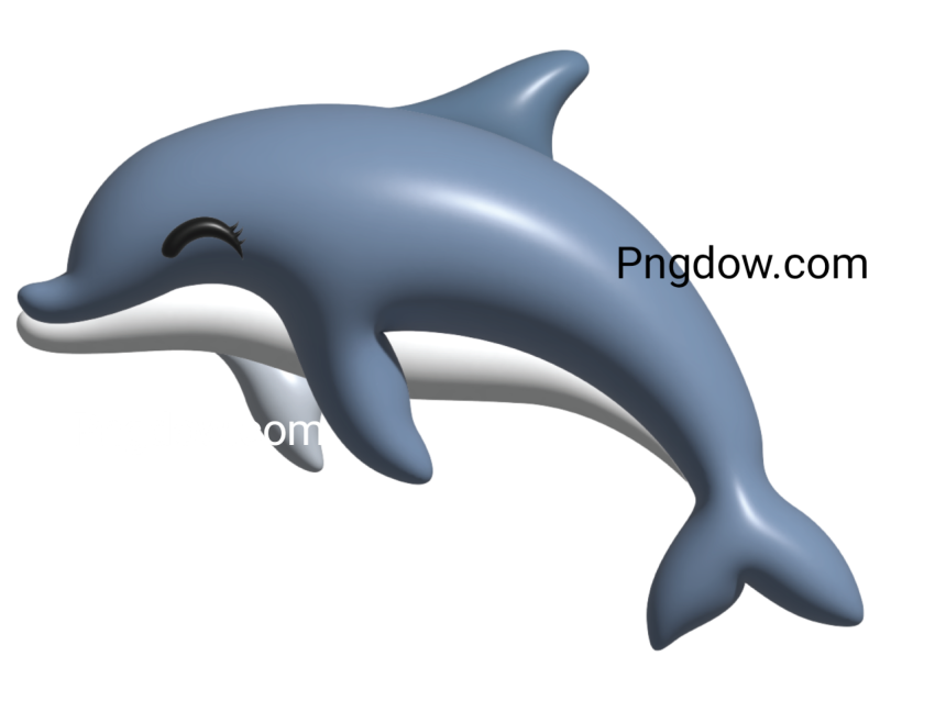 Dolphin Png image with transparent background for free, Dolphin, (5)