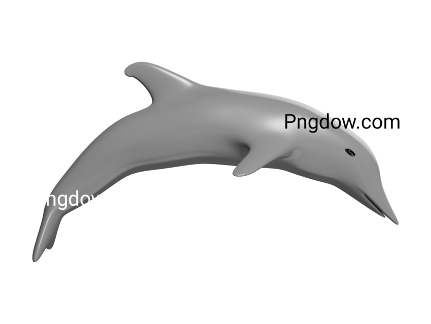 Dolphin Png image with transparent background for free, Dolphin, (7)