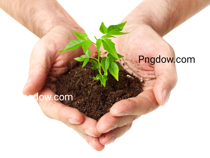 Soil  PNG images for free downloads