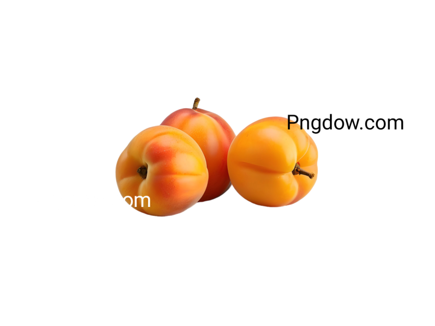 Exclusive Apricots PNG Image with Transparent Background   Download Now!
