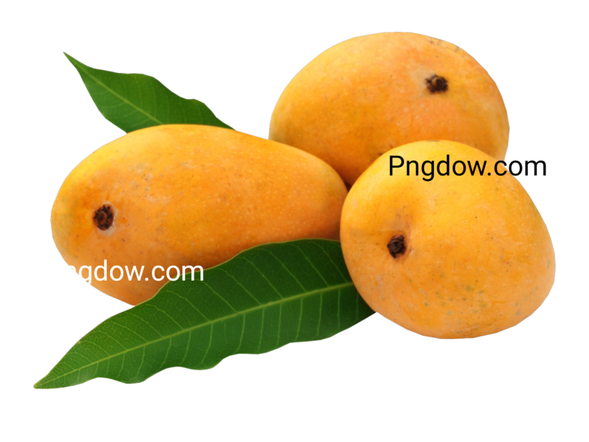 mango yellow png