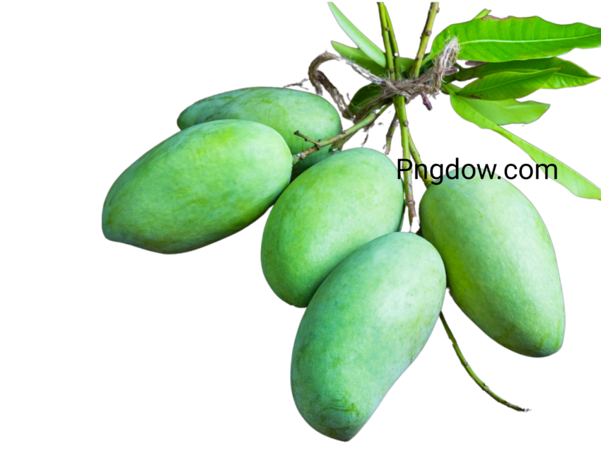 green mango png transparent background