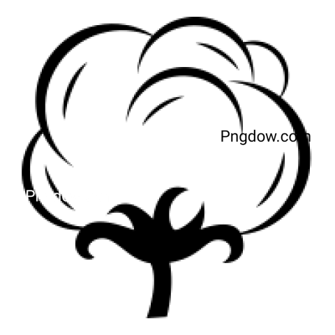 Cotton PNG for free images download (1)