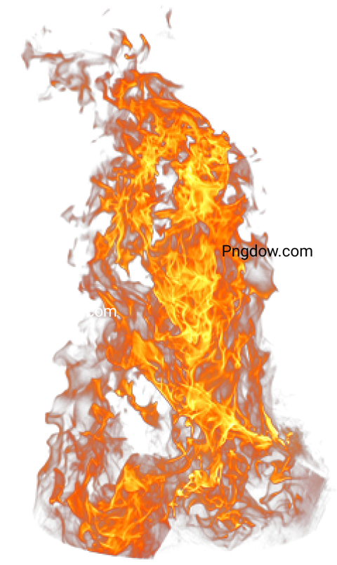 Fire logo PNG