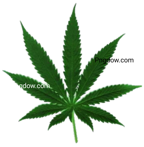 Free High Quality Transparent Cannabis PNG Images   Download Now