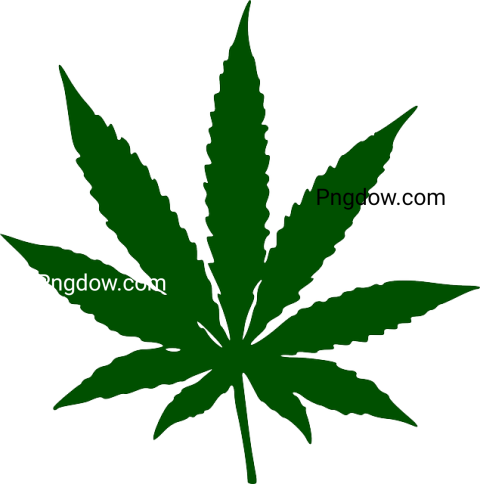 Free Cannabis PNG Transparent Images Get High Quality Downloads