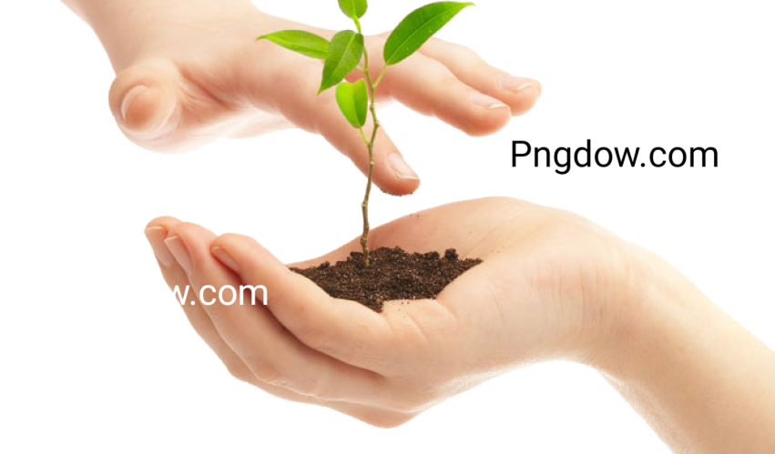 Soil  PNG image for free downloads