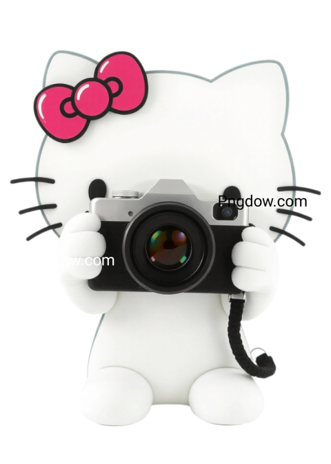 Hello Kitty with Camera png