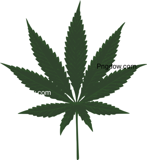 Free Cannabis PNG Transparent Images, High Quality Downloads