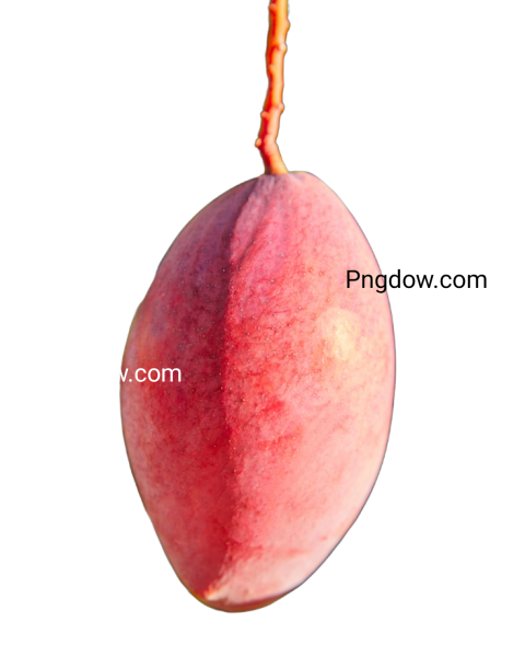 mango pink png