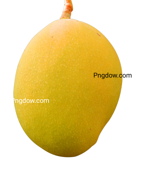 mango png photo