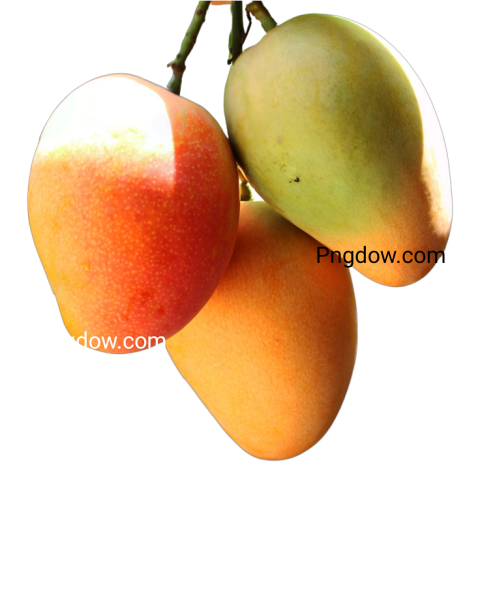 mango Png background