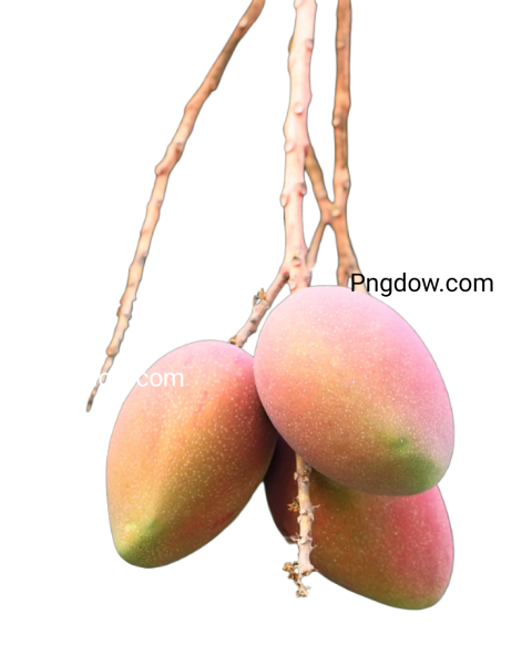 pink mango png