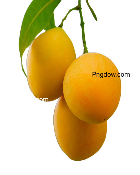 mango png image, pngdowCom