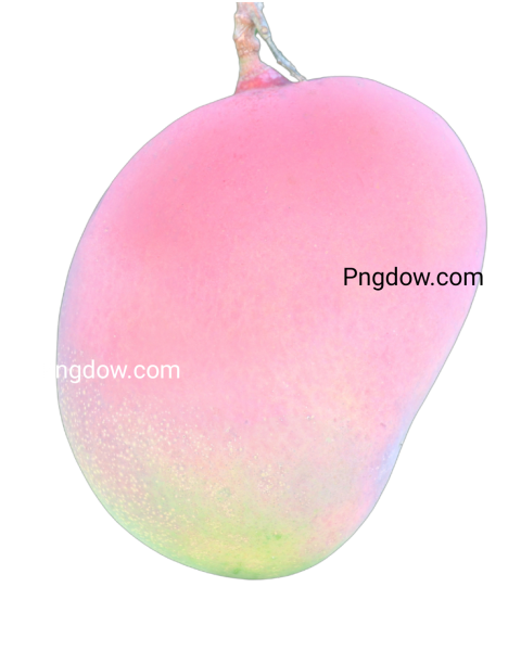 mango png images