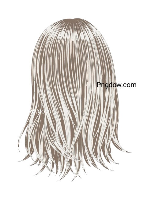 image hair png