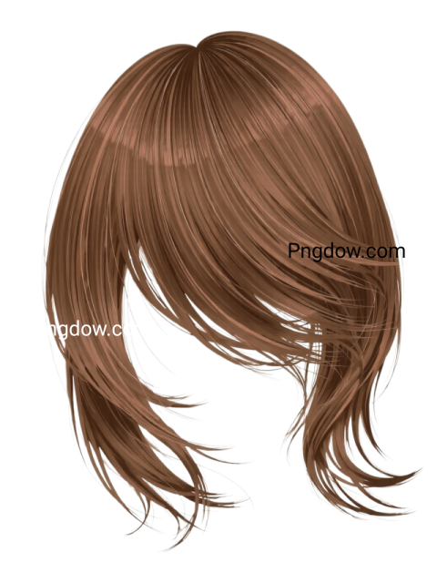 editable hair png