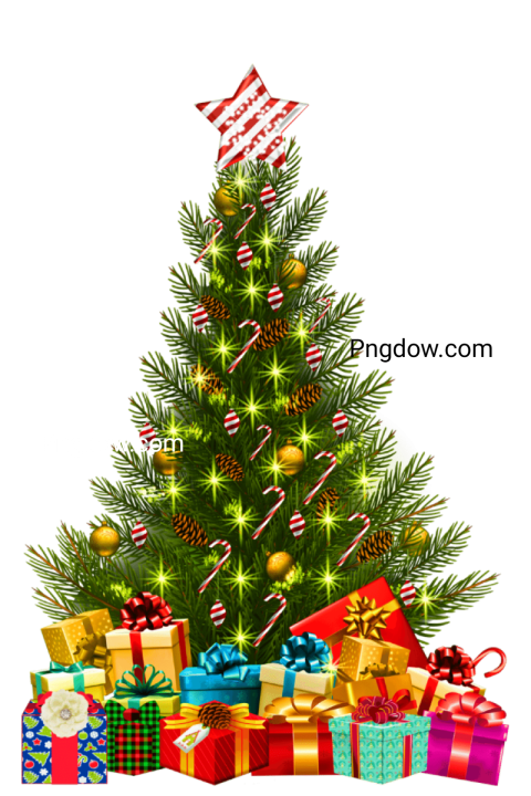 Christmas Tree Illustration transparent background
