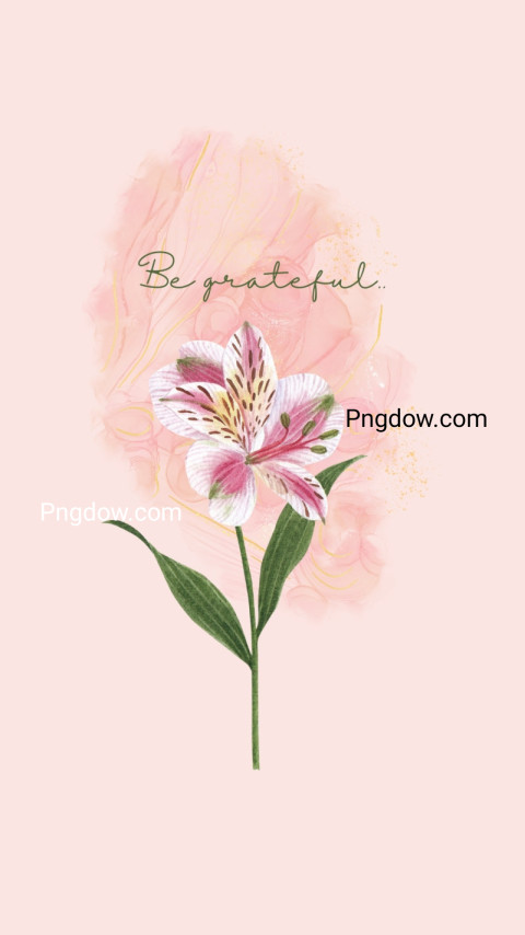 Flower Phone Wallpaper free