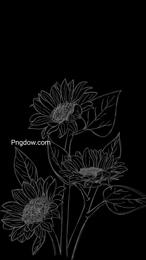 Monochrome drawing of assorted flowers on black wallpaper