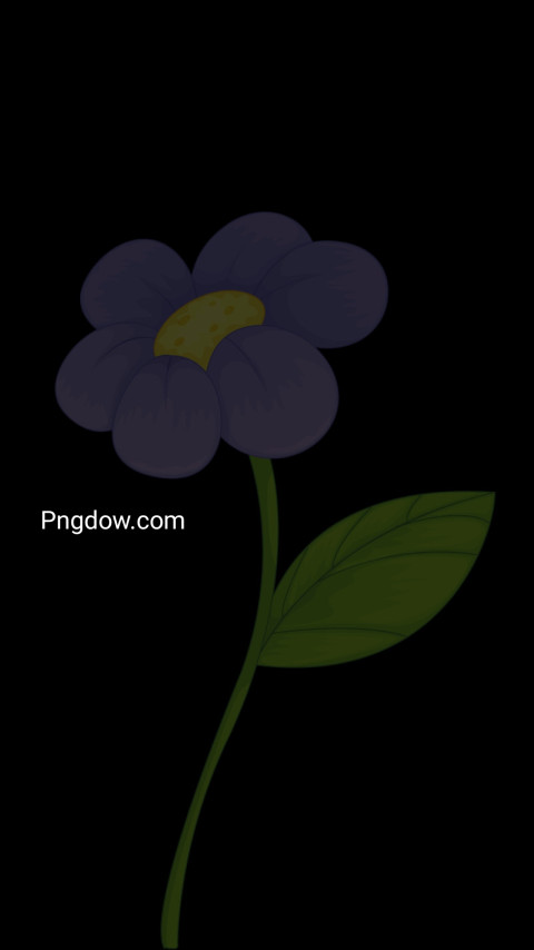 A purple flower with green leaves on a black background wallpaper