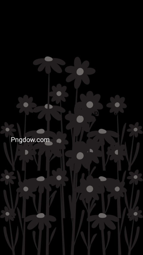 Monochrome flowers contrast against black backdrop on black wallpaper