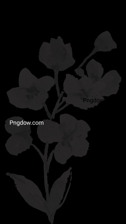 A monochrome drawing of a flower on black wallpaper