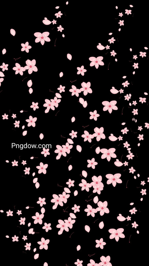 Pink flowers on black wallpaper for free