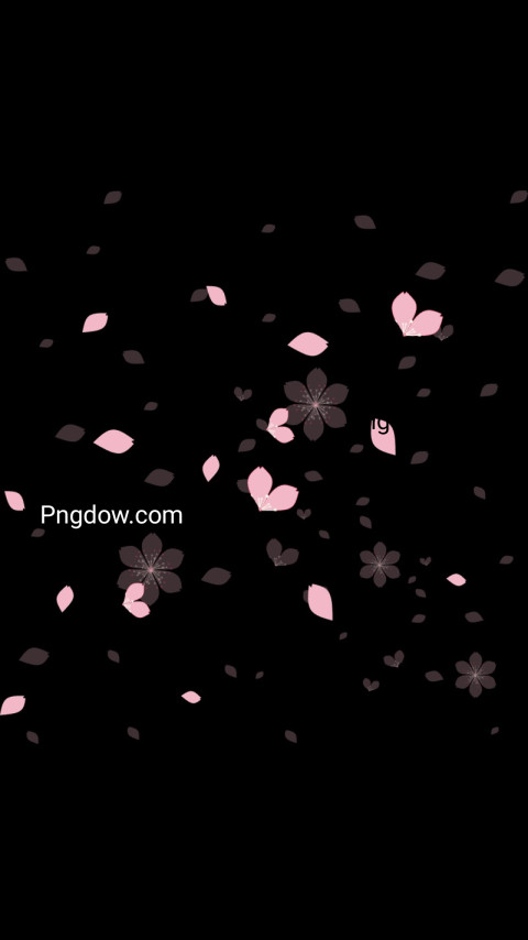 Black wallpaper with pink flowers