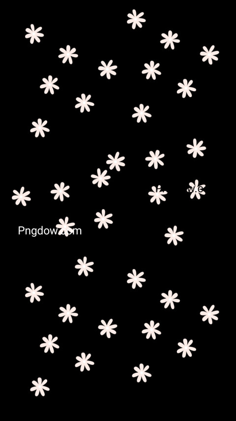 White flowers on black wallpaper