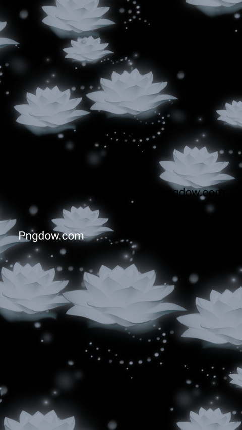 White water lilies on black wallpaper