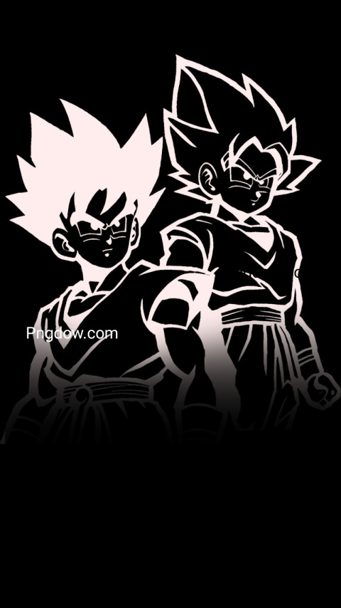 Two Goku and Vegeta characters on black wallpaper