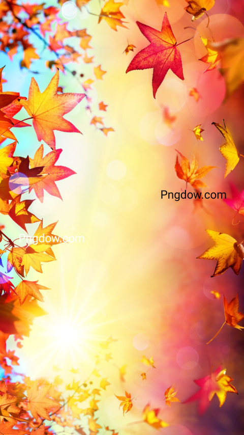 fall wallpaper HD