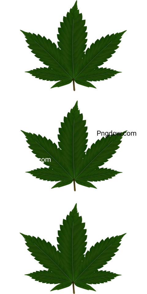 High Quality Cannabis PNG Images for Free Download   Unlock Your Creative Potential