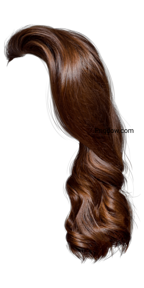 hair png transparent background