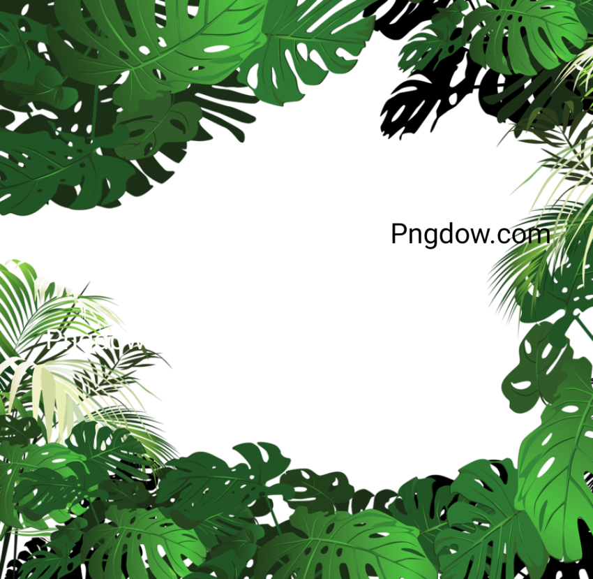 Jungle png logo transparent background