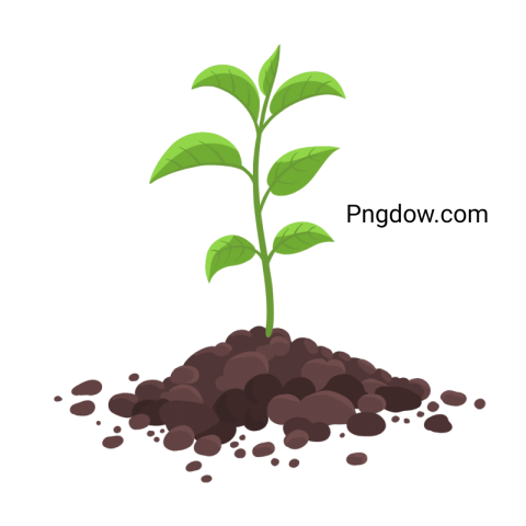 Stunning Soil PNG Image with Transparent Background   Download Now!