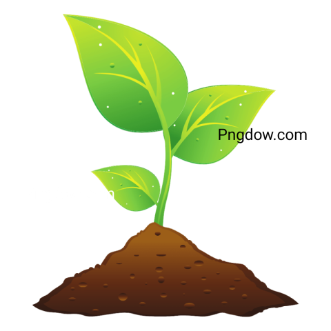 Stunning Soil PNG Image with Transparent Background   Free Download