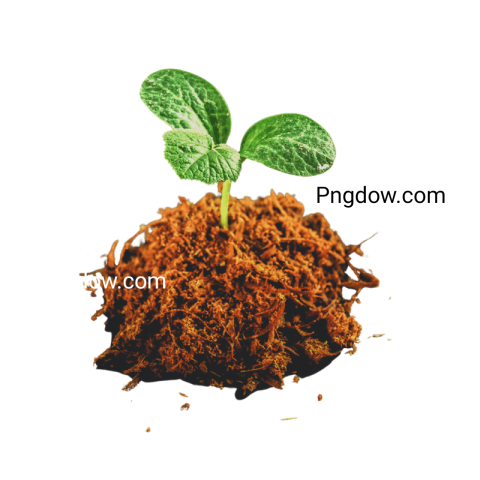 High Quality Soil PNG Image with Transparent Background   Download Now!