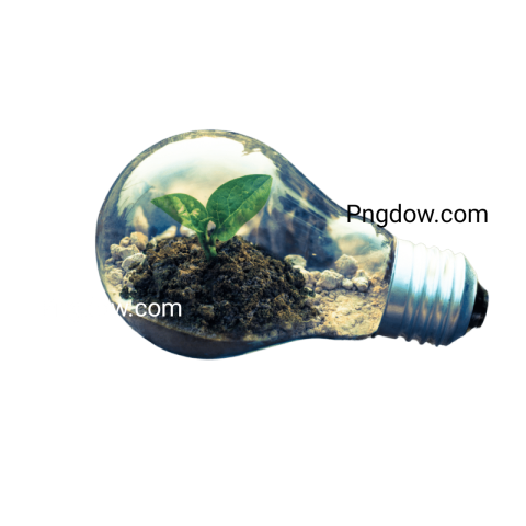 High Quality Soil PNG Image with Transparent Background   Free Download