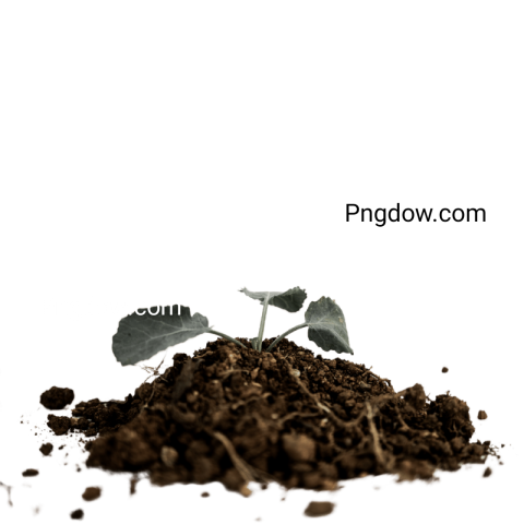 High Quality Soil PNG Image with Transparent Background   Download Now