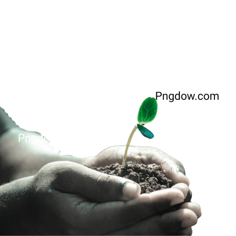 Exclusive Soil PNG Image with Transparent Background   Download Now!