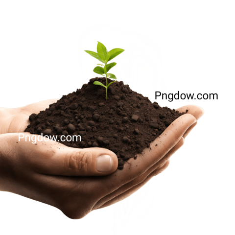 Soil  PNG image for free download