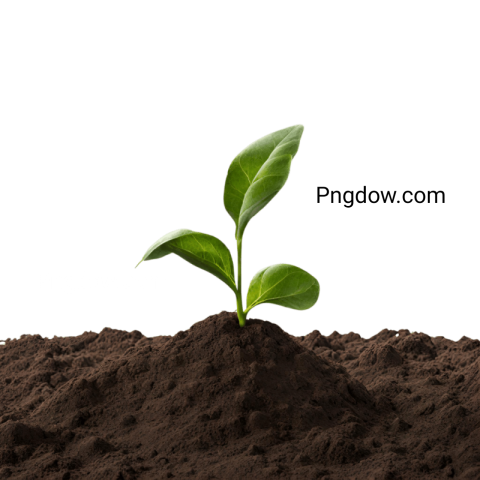 Soil Png images for free