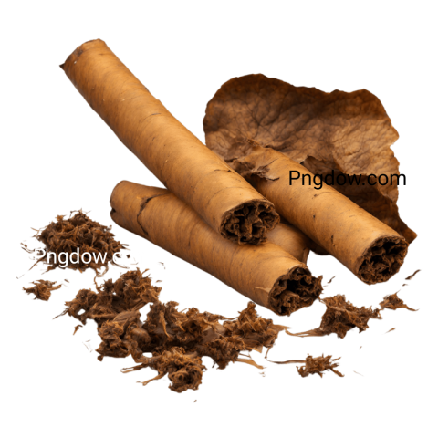 Tobacco illustration PNG transparent background