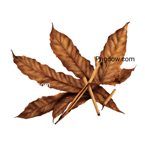 Tobacco PNG image with transparent background, Tobacco PNG