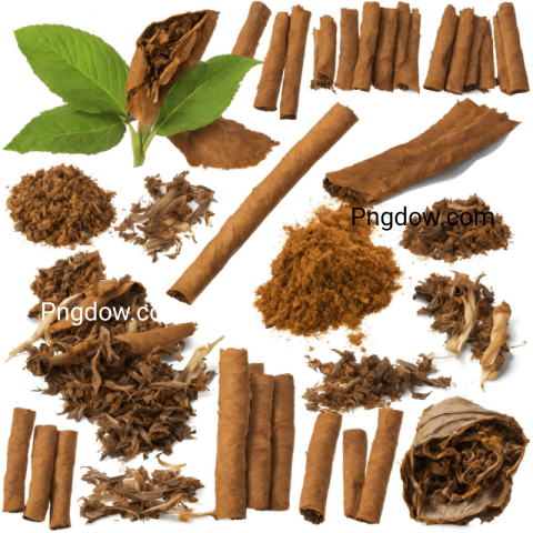 Tobacco illustration image