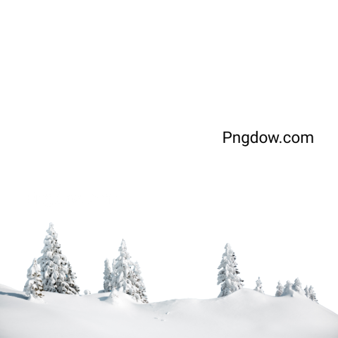 High Quality Winter PNG Image with Transparent Background   Free Download