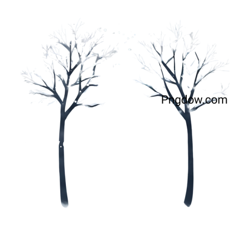 Stunning Winter PNG Image with Transparent Background for Versatile Use